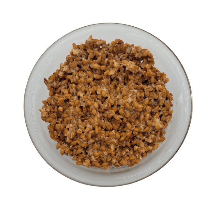 Risotto de petit épeautre BIO au comté 400g